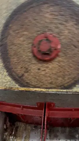 من قلب معصرة زيت زيتون منطقة شياظمة 🫒🫒🫒