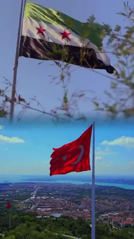 #CapCut #♥️ #سوريا #تركيا #🥺💔 