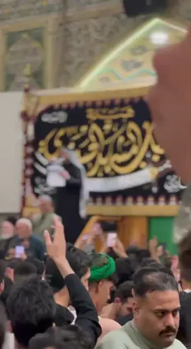 حي ابو مهدي ❤️#مشهدالحيدري #مش #النجف #كرارابوغنيم #الكوفه_المقدسه 