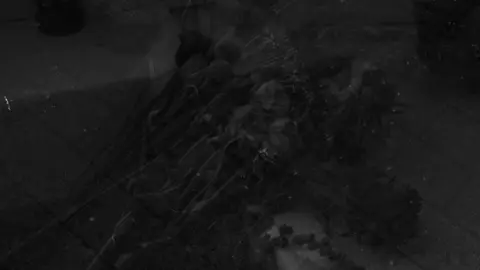 لەبیری کردم🖤، #سامۆ #tiktok #samo_m7 #foryoupage #foryou 