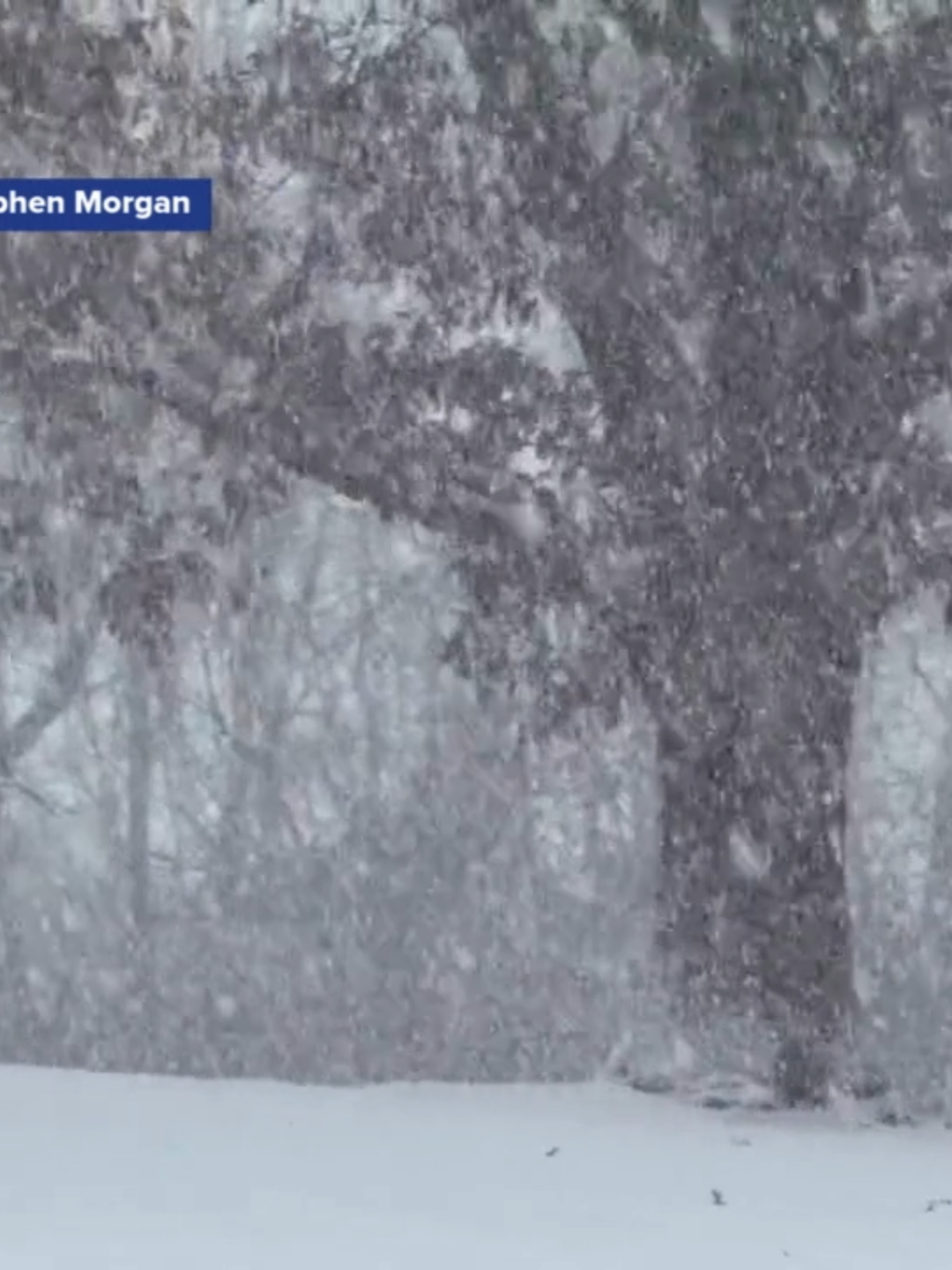 🌨️ SNOW ON TOP OF SNOW: Fox Weather Meteorologist Stephen Morgan captured a beautiful snowfall just east of St. Louis in Maryville, Il. The National Weather Service warning of slippery roads and significant accumulations tonight. #illinois #snow #winter #foxweather