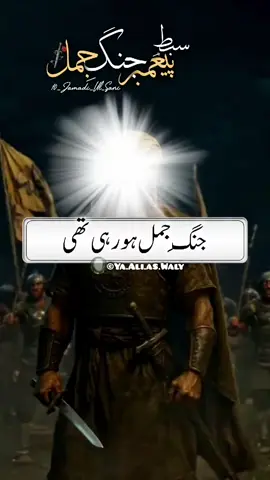 #yaaliaswaly #jungjamal #10jamadiulsani #islamic_video #imamhassanع 