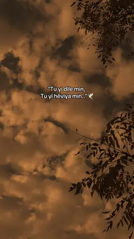“Tu yi dile min, tu yî hêvîya min..”🕊️🌹 #meralsimsekk1 #storylikşarkılar #storylikvideolar #fyppp 