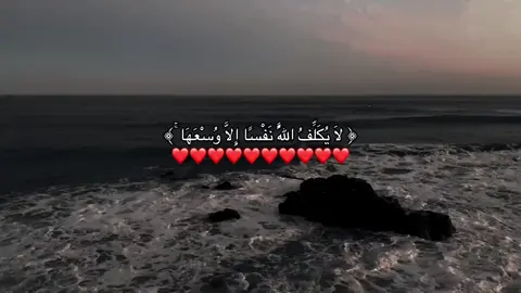 قرآن كريم بصوت يخشع له القلب 🤍 🎥🎧#قران_كريم #الرتش_فى_زمه_الله💔 