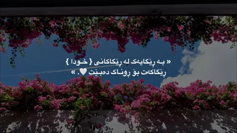 #foryou #foryoupage #ئیسلام_ڕێگەی_ژیانە #fyp #islamic_video_ 