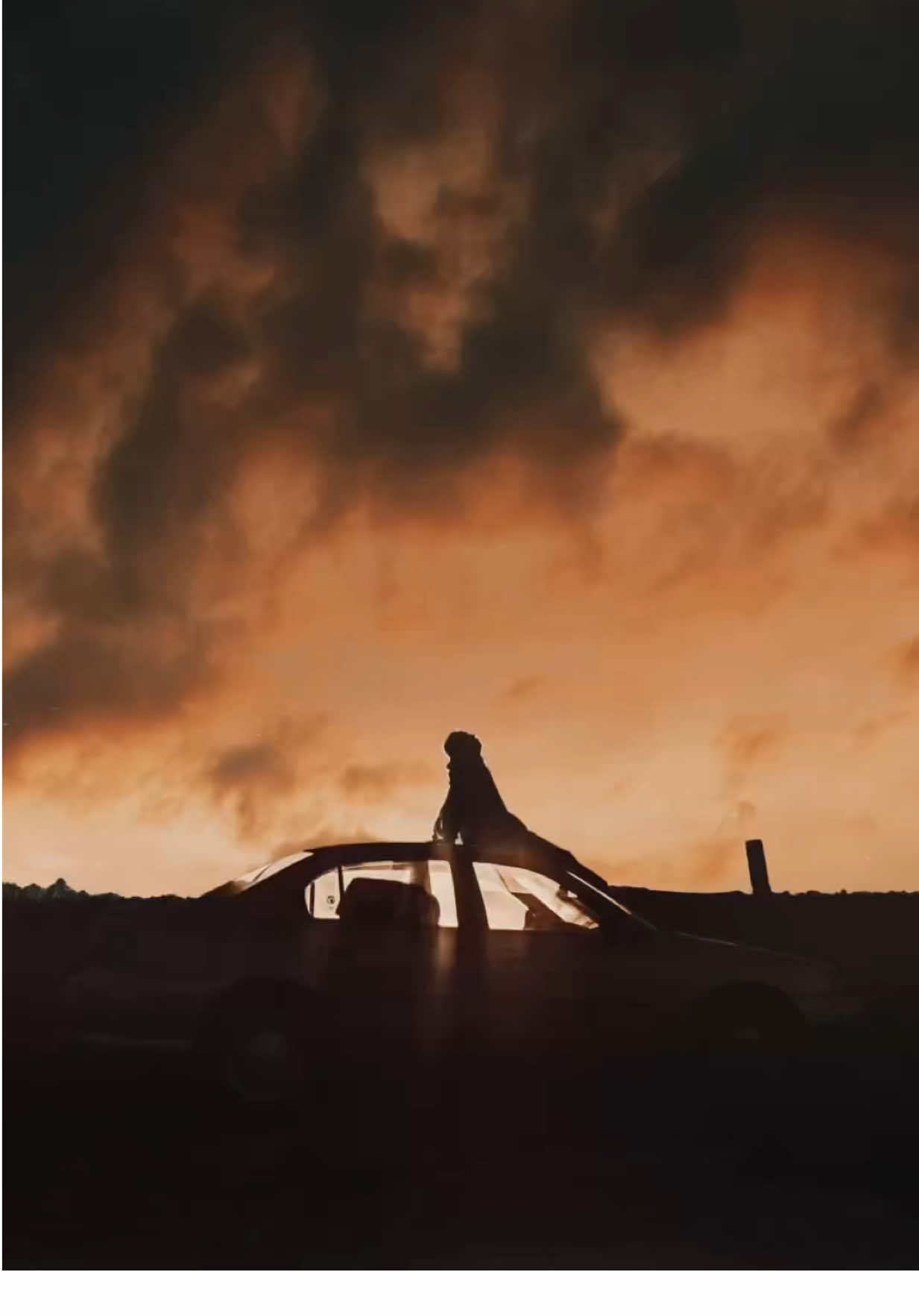 God loves you so much 🤍 ~ Sometimes we forget how blessed we really are. We often get so caught up in what's missing that we overlook everything God has already done. We focus on the prayers that haven't been answered yet and forget the battles we've already survived, the doors He's already opened, the nights He carried us through when we didn't even realize it. Blessings aren't always loud - sometimes they look like protection, clarity, peace, provision, or simply the strength to get back up again. Take a moment and look around. You're here. You're breathing. You've grown. You've overcome things that once overwhelmed you. God has been faithful in ways you didn't even think to thank Him for. Gratitude shifts your heart - it reminds you that even on the hard days, you are held, you are covered, and blessed beyond what you see - in ways God has been working long before you even knew you needed it. 143. • { Written By: 144 } • Join The 143 Movement to help continue the spread of love, positivity, and Jesus Christ throughout this beautiful world that we all live in. ✝️ • • • #Love #godlovesyou #bibleverse #jesuschrist #inspireothers #perspective #grateful #jesuslovesyou 