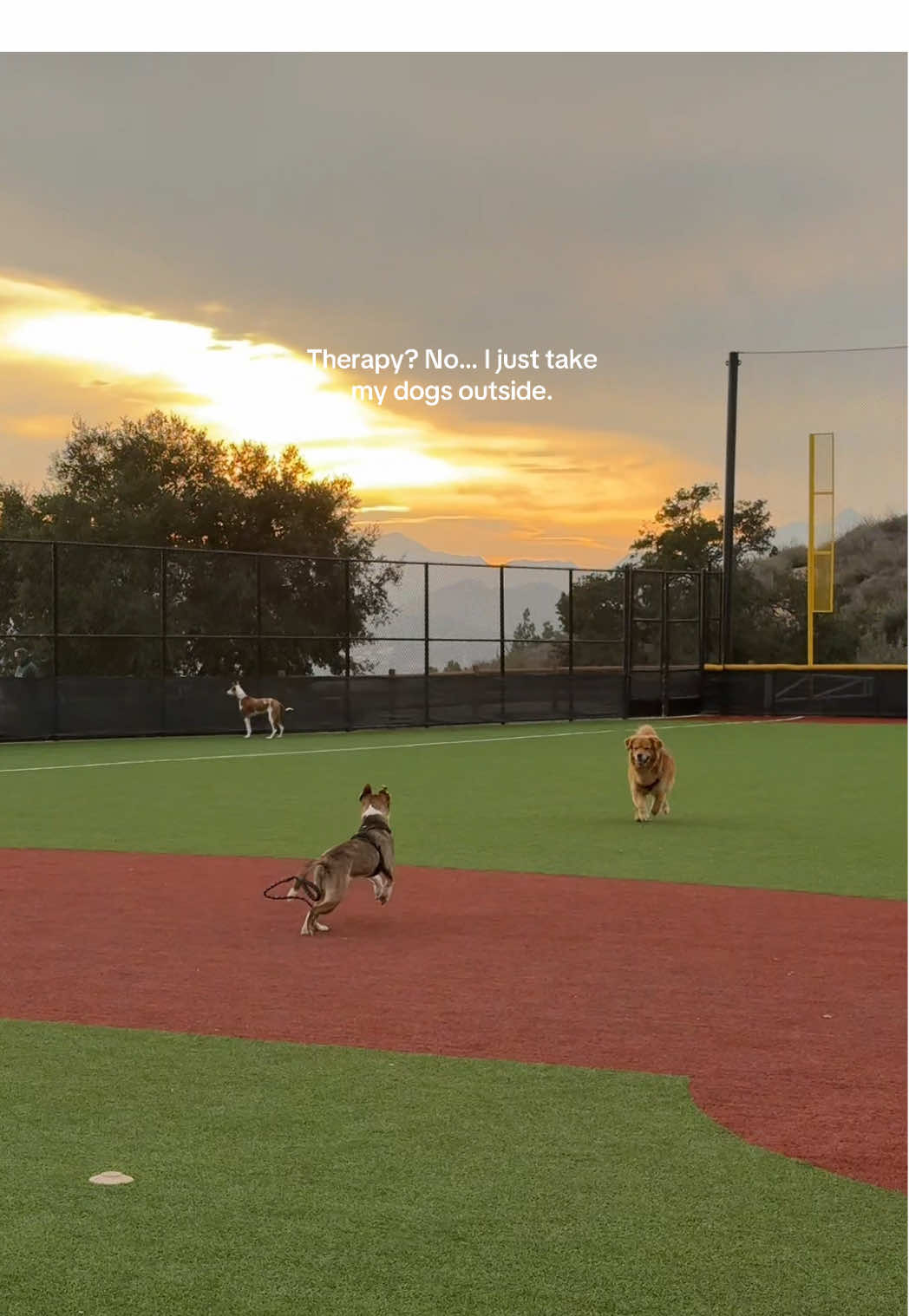 Bronson, Emerson & Dewey 🤍