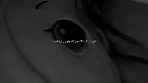 #creatorsearchinsights 