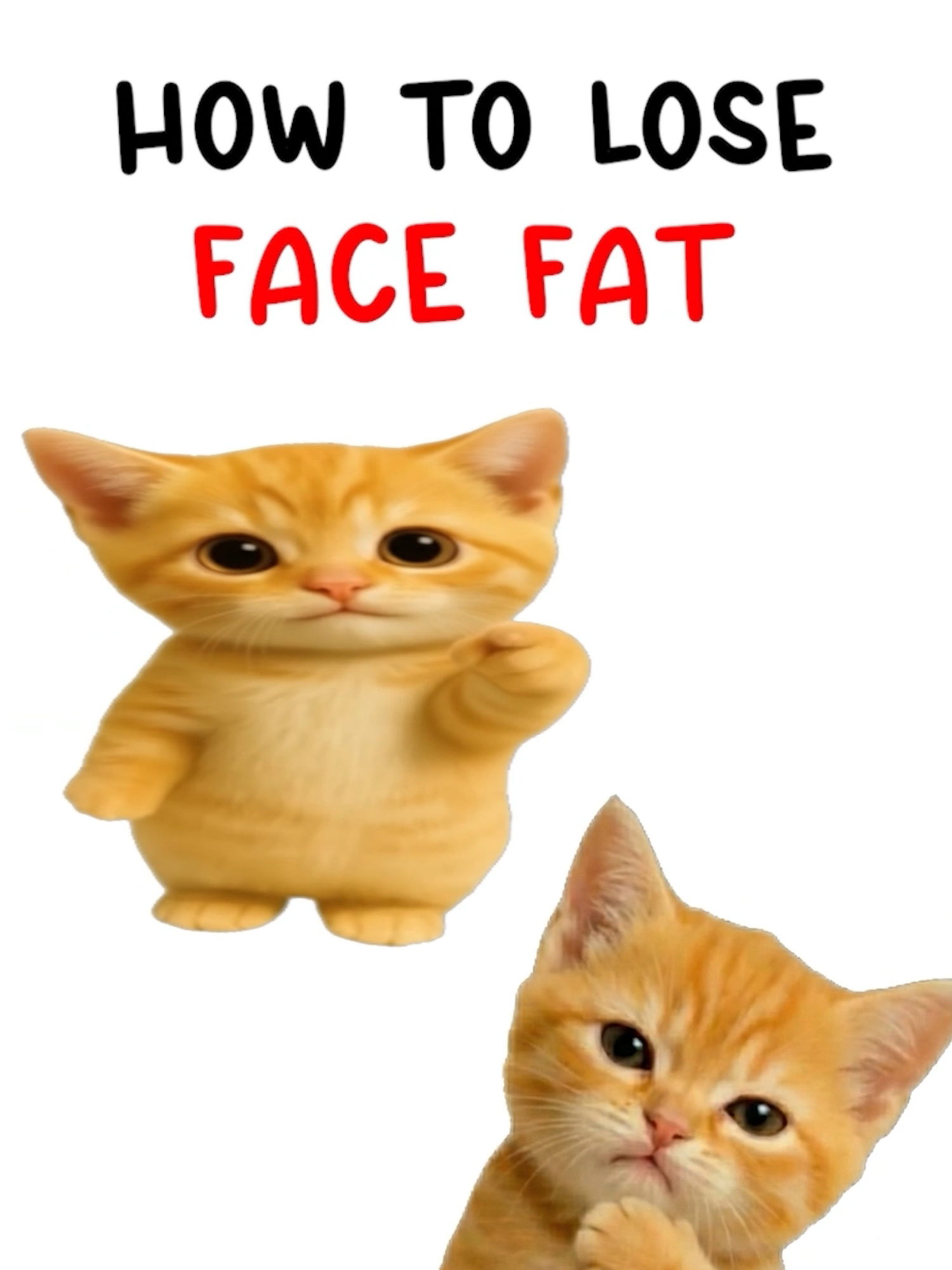 How to Lose Face Fat #kitty #life #adultlife #GlowUp #debloat