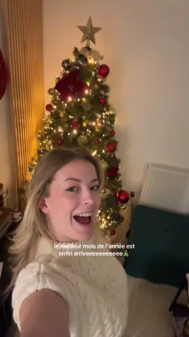 il reste 1 mois pour réaliser mes derniers souhaits de l’année 🎄🤍  #firtsofthemonth #christmastime 