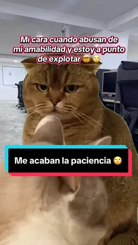 A veces me acaban la paciencia 🙄🤨 JAJAJAJJAKSJKA BROMITA 🤣 #worklife #viral #fyp #paratiiiiiiiiiiiiiiiiiiiiiiiiiiiiiii #perú 