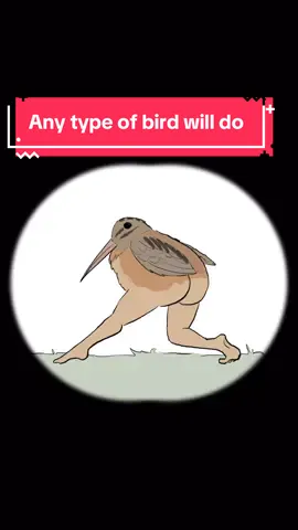 a little song about how much I love birds for the @Extremely Accurate Birds podcast, animated by Stephanie Simpson. and yes the calendar is on sale now on my TikTok shop, thanks for supporting independent artists for #tiktokshopcybermonday #tiktokshopblackfriday #birds #animation #nature 