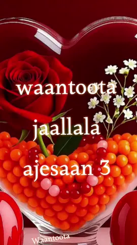 #fypシ゚ #ethiopian_tik_tok🇪🇹🇪🇹🇪🇹🇪🇹 #foryourpage #foryou #oromotiktok❤️💚❤️ethiopiantiktok 