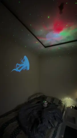 Kamar polos bisa kok jadi estetik 😍😍😍 #dekorasikamar #kamarestetik #kamarcowok #kamarcewek #kamaraesthetic 