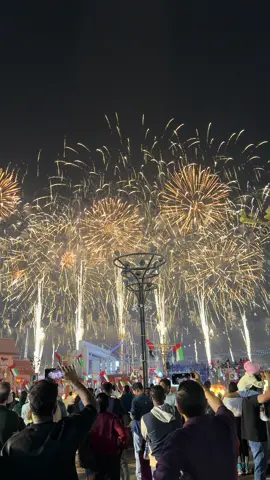 Uae national day 54 #uae #nationalday #fireworks #abudhabi 
