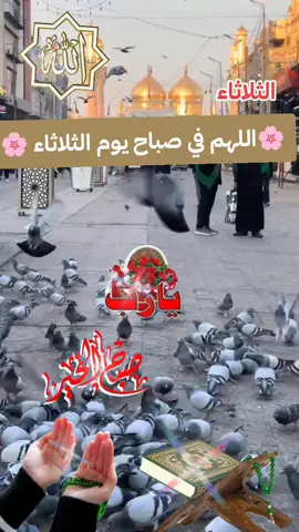 #اصبحنا_واصبح_الملك_لله__صباح_الخير #اللهم_صلي_على_نبينا_محمد #صباحكم_معطر_بذكر_الله #fypシ゚ #tiktok 