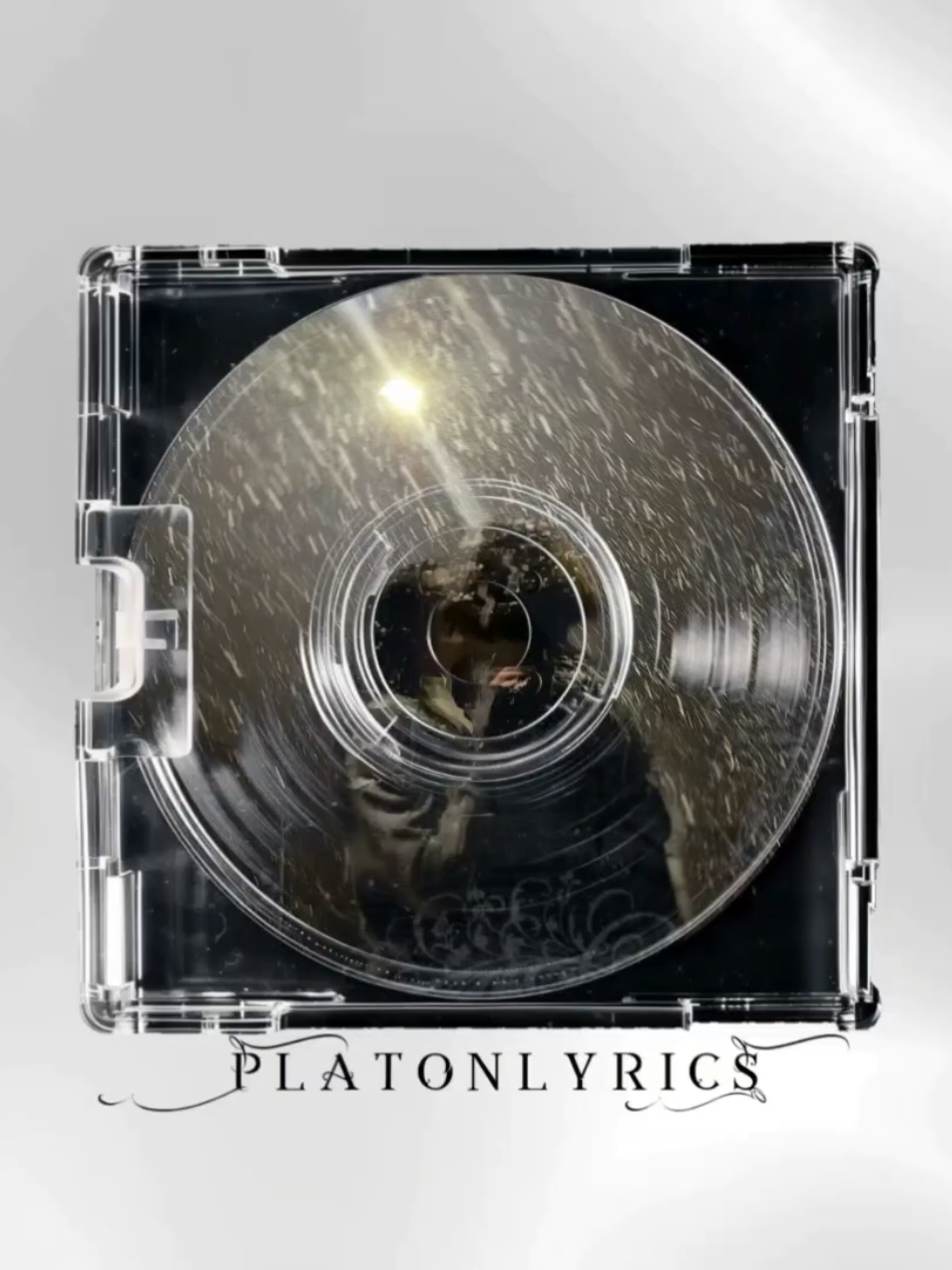 Qış Gecəsi😍🤍❄️ #platonlyrics #lyrics #fyp 