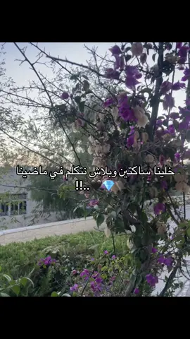 #عبارات #تصويري📸 #wedding #pov 