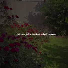 یاڕەبی خوایە عاقیبەت خێرمان کەی🤲..!#fyppppppppppppppppppppppp #fypシ #foryou #viralئەکتیڤم_سفرە_لایکو_کۆمینت_فۆڵۆ #ئەکتیڤبن🥀🖤ـہہـ٨ــہ 