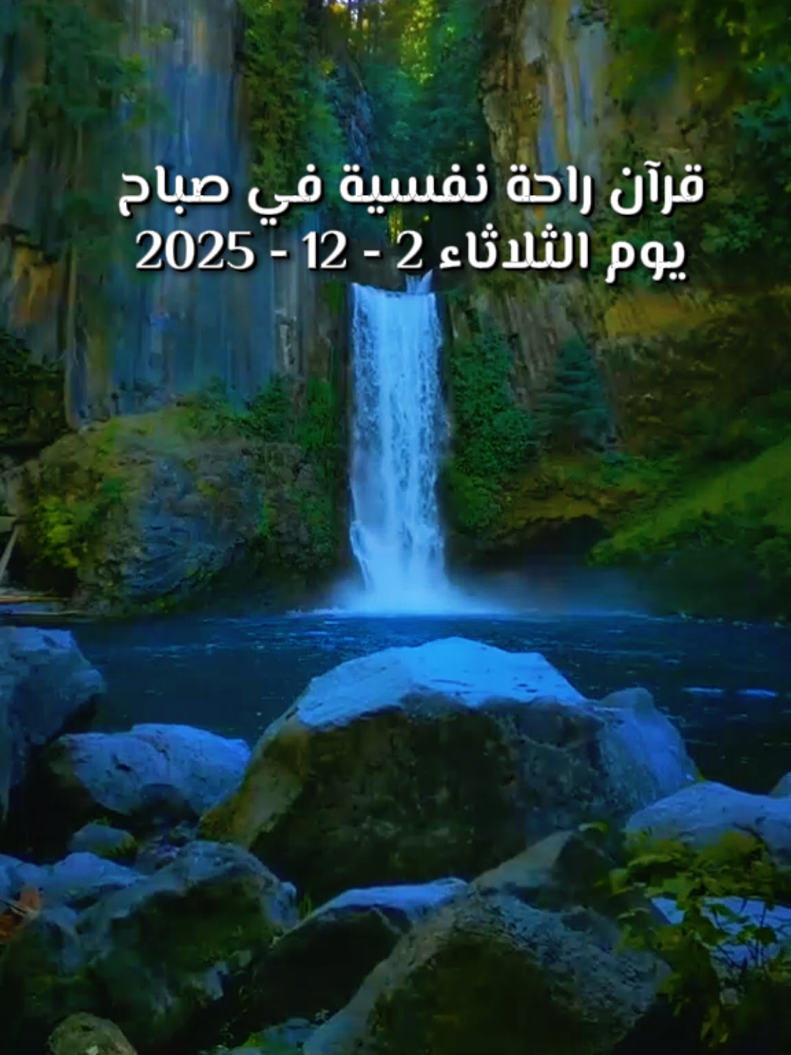 القارئ #عمر_الهاشمي  📖📿 وَمَن يسلم وجهه إلى الله وهو مُحْسِنٌ فَقَدِ اسْتَمْسَكَ بِالْعُرْوَةِ الوثقى يوم الثلاثاء 2 / 12 / 2025 . . . #القران_الكريم_راحه_نفسية😍🕋  #القران_الكريم  #ادعية_اسلامية_تريح_القلب  #قران_كريم_ارح_سمعك_وقلبك 📿🤲