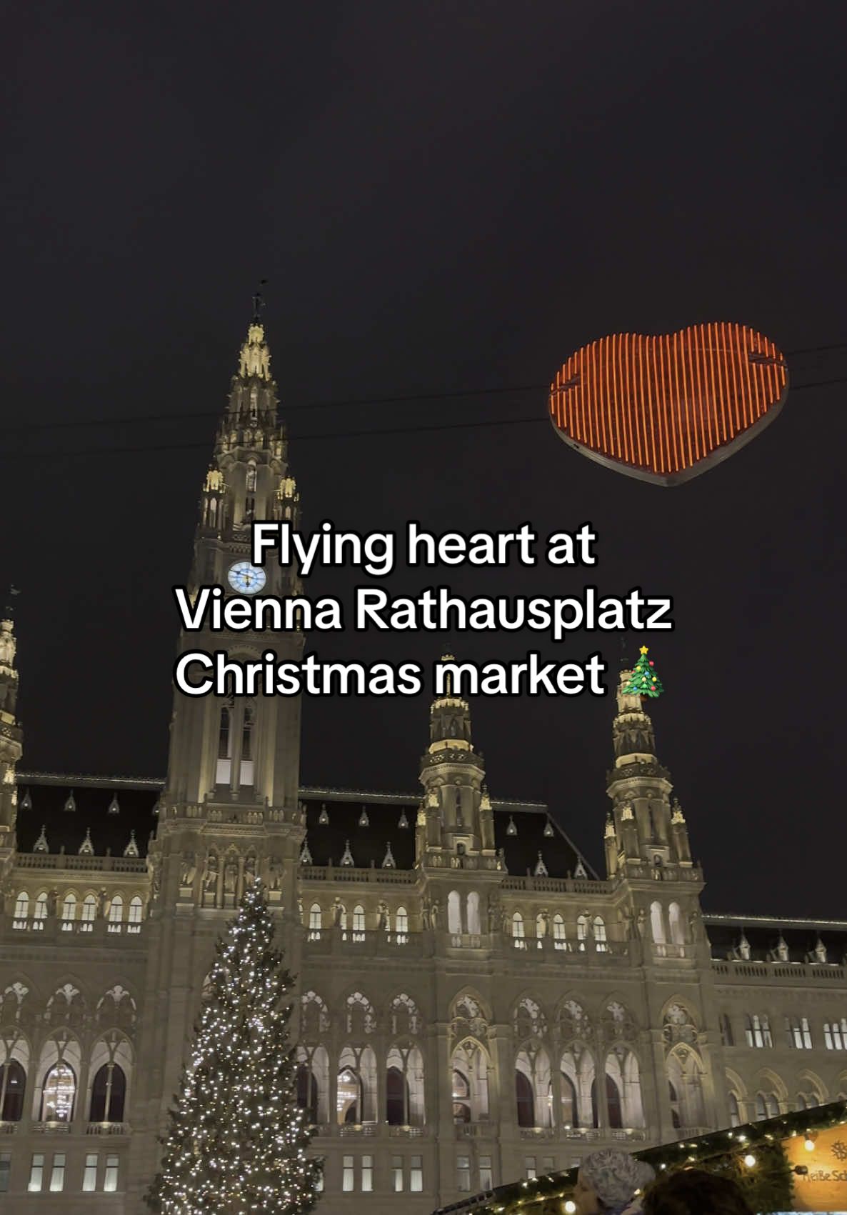 This was magical and I stumbled on it by accident ✨  #vienna #viennachristmas #christmas2025 #winter #christmasmarkets #fyp 