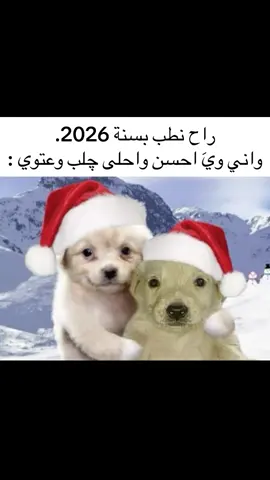 🙏@ابو ايليا𖤐 @محمد المهدي @سَاورون @مايكل ميكائيل𖤐 @محَمد @محمد علي @حسن الشريف @سيفو مايكلسون @علي ستارك ☝🏿 @حسين علي @عَلي ستارك .@حسنين. اعذروني خاف نسيت واحد #fypシ゚ #fyp #explore 