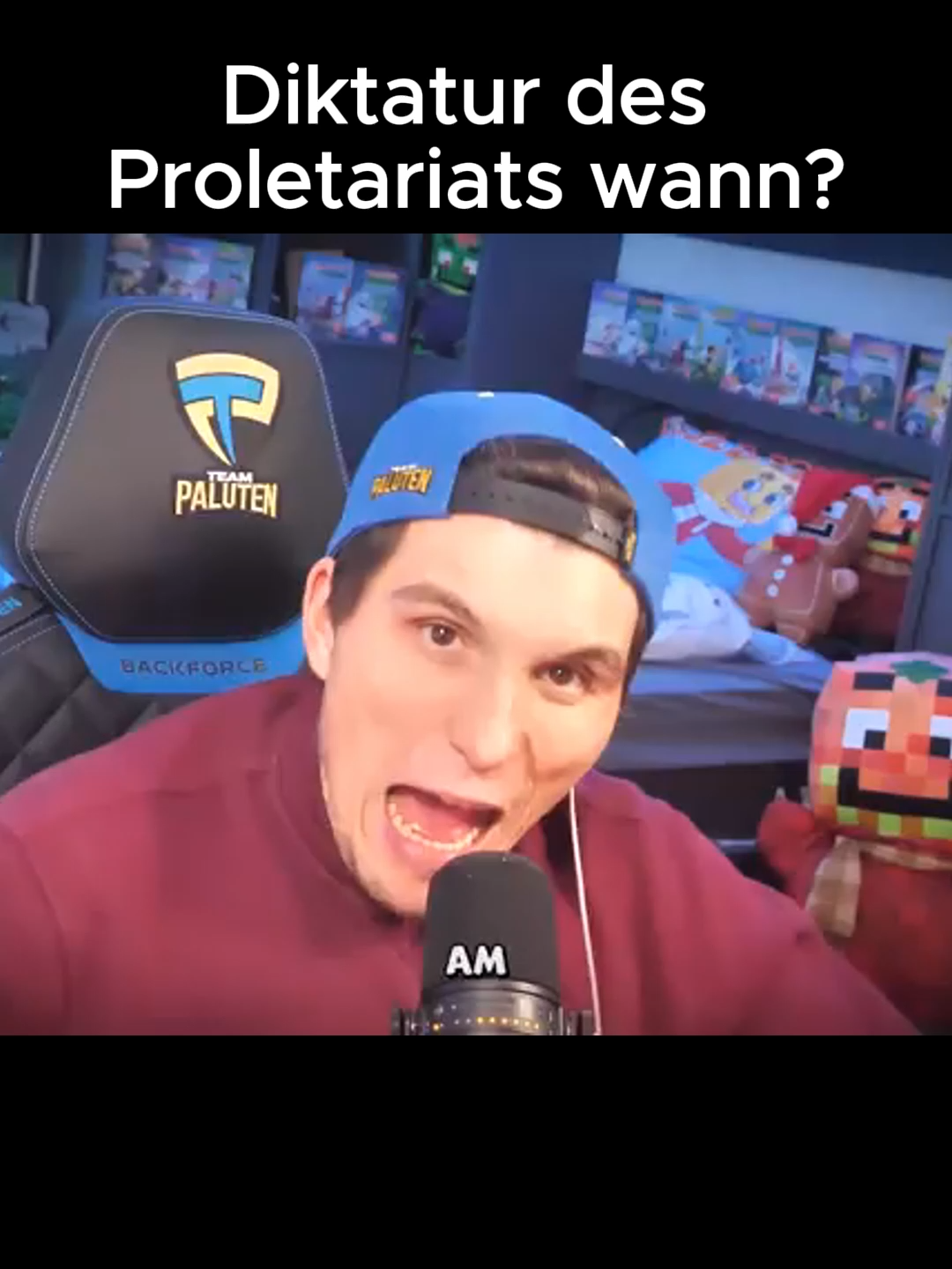 Wer sich nicht bewegt, spürt seine Fesseln nicht. #fyp #links #deutschland #viral_video #politik #twitch #gysi #heidi #dielinke #afd #fckafd #161 #fcknzs #antifa #bundestag #cdu #spd #reclaimtiktok #gregorgysi #merz #afd #paluten