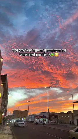 পড়া লেখা তো আনেক করলা বলো তো ভালোবাসার রং কি..?🐸#foryou #anik732 #newidpleasesupport😊 #bdtiktokofficial #ksa🇸🇦 