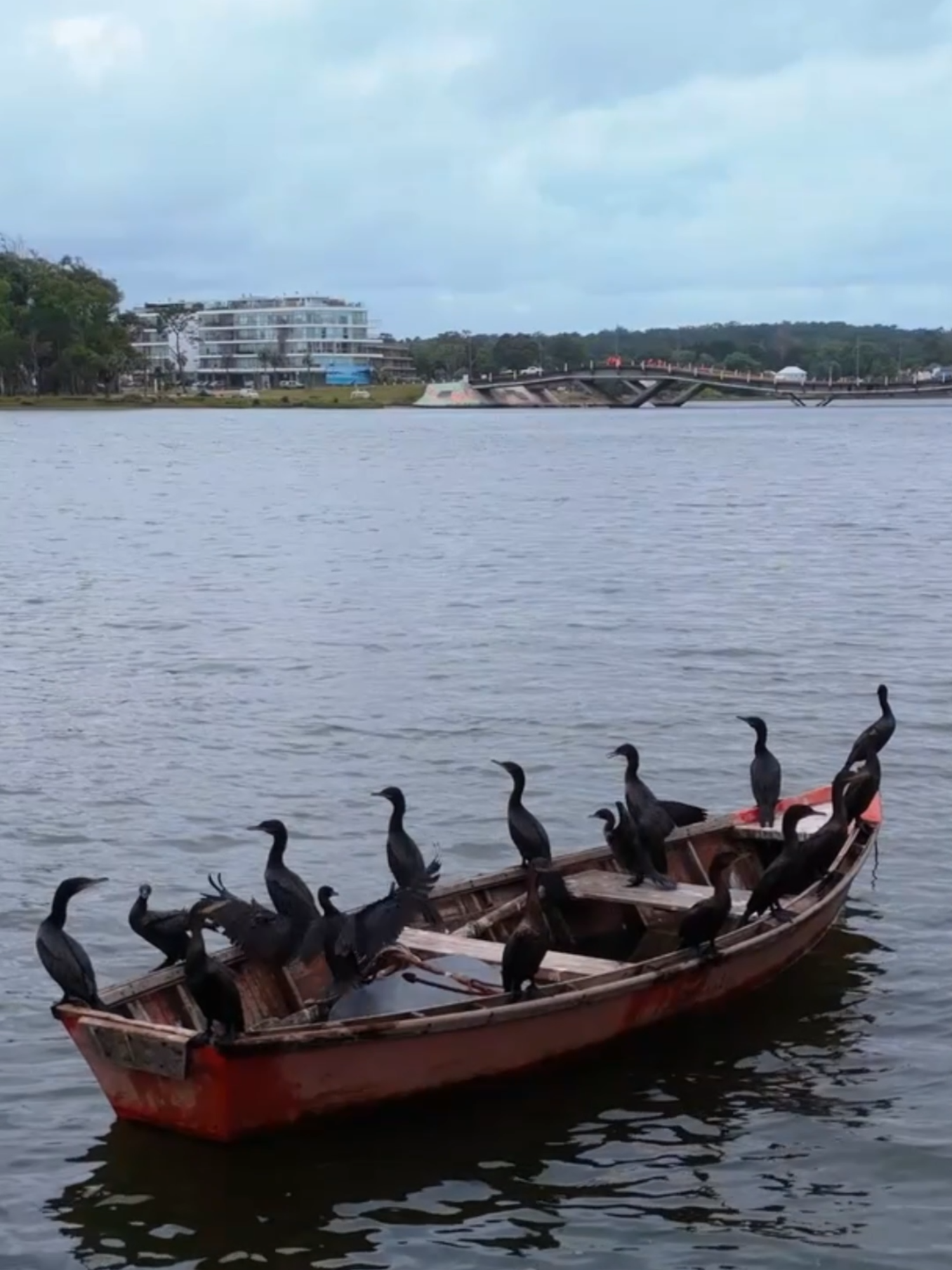 Arroyo Maldonado, Zona de La Barra, Maldonado, Uruguay. #uruguaynatural🇺🇾 #drone #labarrauruguay