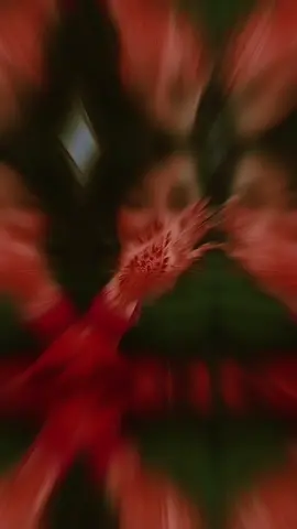 #foryoupageofficiall #trending viral video philippines #viraltiktok  #trending #fyp 