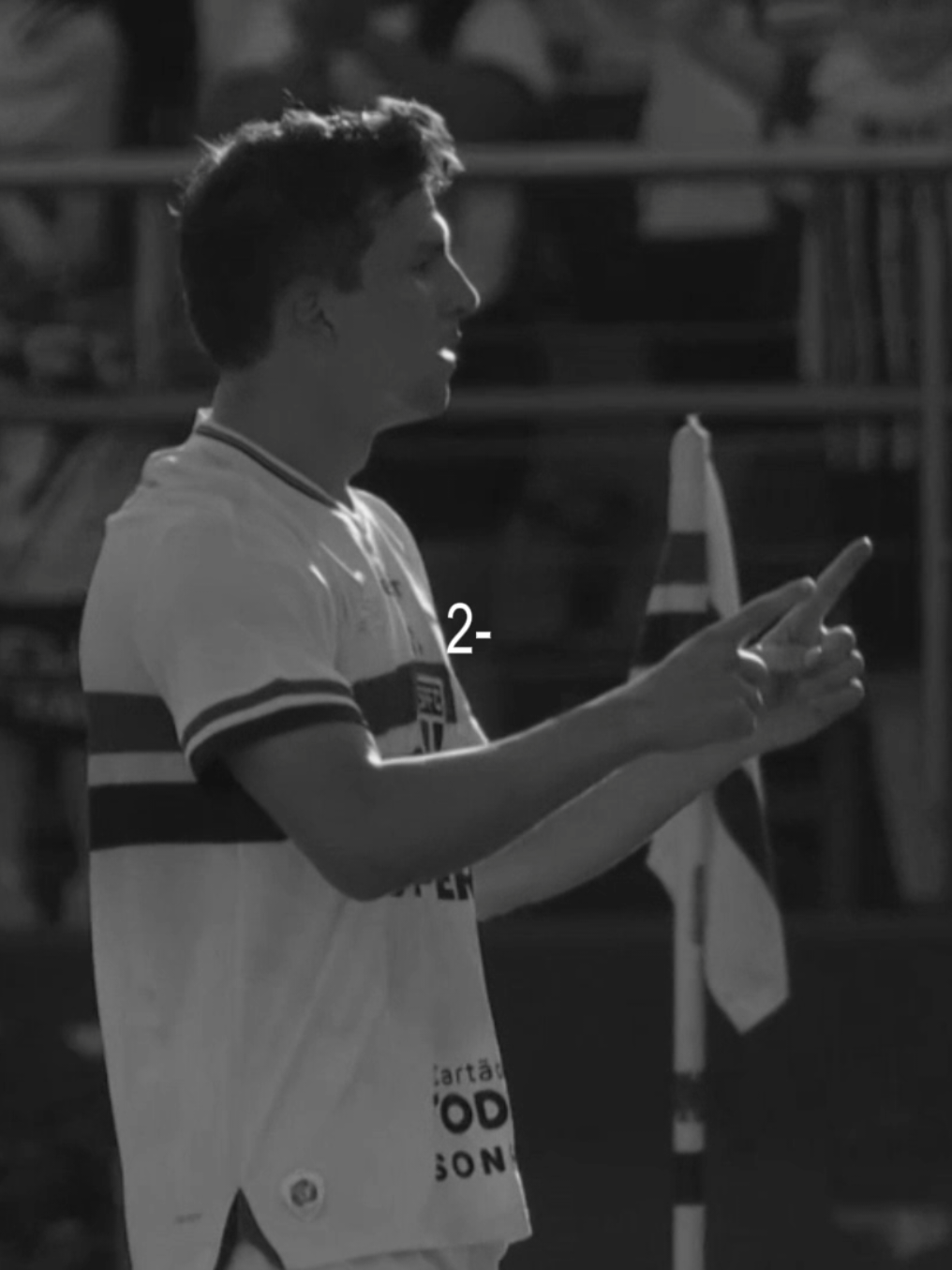 🤣 #saopaulofc #palmeiras #flamengo #edit #libertadores 