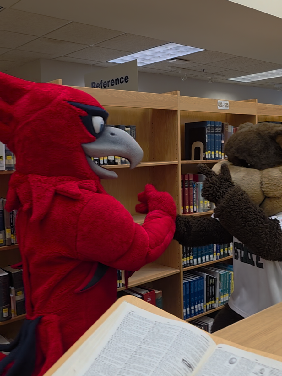 When two mascots meet 🧐🫣 @Bemidji State University  #fyp #mascot #college #university #collegestudent