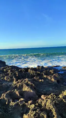 #ربي اني مسني الضر وانت ارحم الراحمين  #سبحان_الله_وبحمده_سبحان_الله_العظيم 