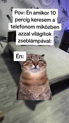 #Meme #MemeCut #CapCut 