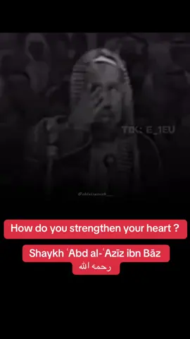 #quran #sunnah #tawheed #salafiyyah #fyp