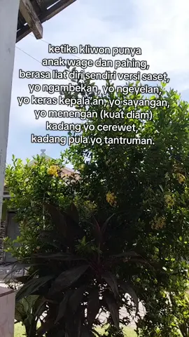 menyala Mak Mak Kliwon 😂 #kliwon #wetonjowo #storyjowo #kliwonketemuwage #untukmu 