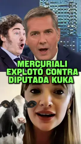 MERCURIALI EXPLOTÓ CONTRA DIPUTADA KUKA  #vaca #kirchnerismo #milei #javiermilei 