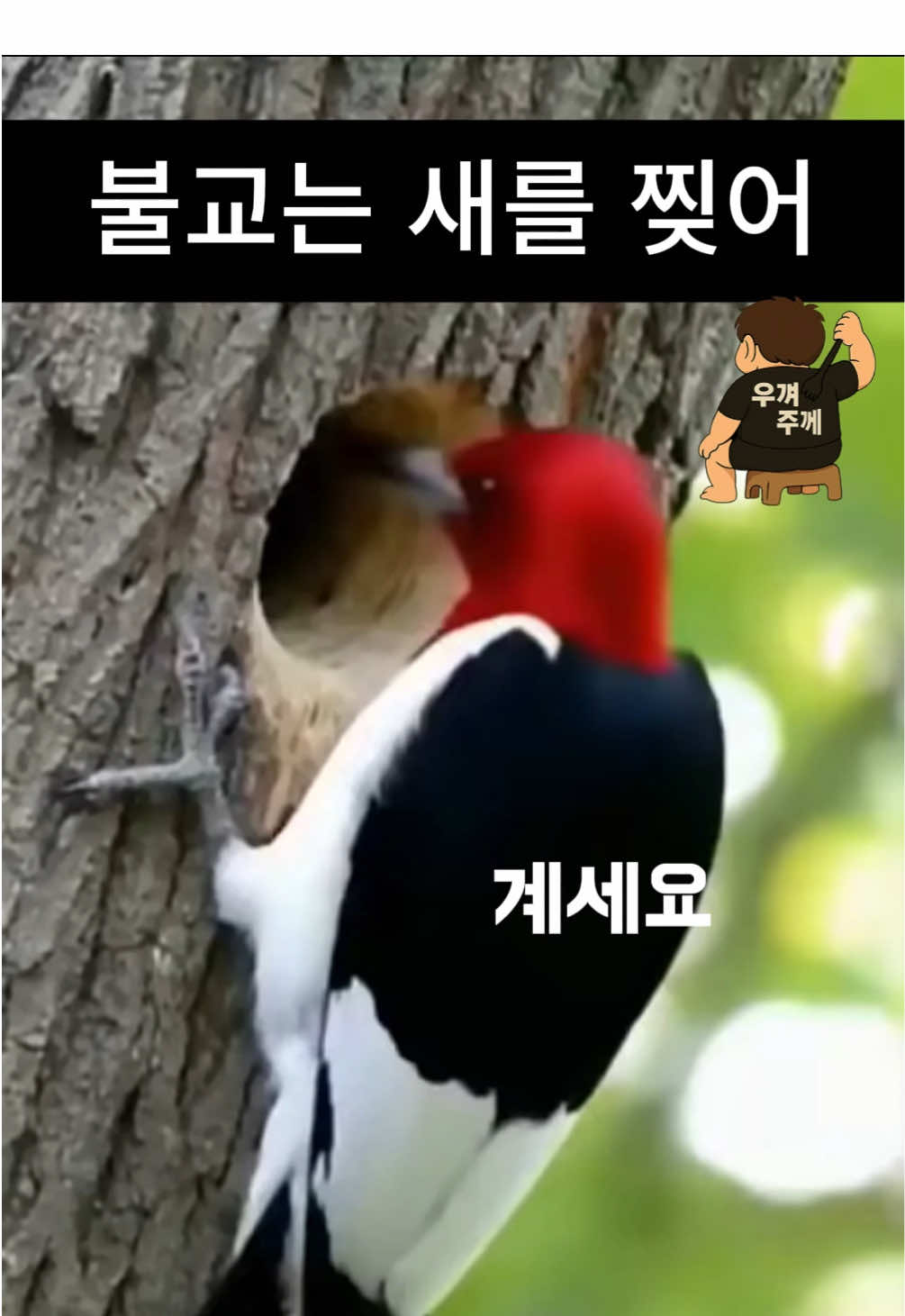 #병맛더빙 #더빙 #불교 #기독교 #infinitywar 