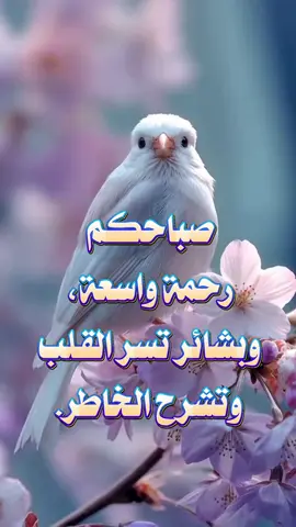 #ستوريات #حالات #صباح_الخير #صباحاتي_الجميله #يارب 