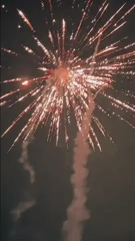 Was war das bitte für ein beschissenes Jahr 🥺 also ich wäre bereit für 2026 in der Hoffnung das es bald wieder besser läuft.  Ekt wieder nix gebracht,unzufrieden auf Arbeit, ständig Probleme mit dem Auto, Trennung, Vater hat sich abgewandt, sehr viele Nächte allein mit meinem inneren Kampf und kleines Alkoholproblem entwickelt 😵🔫 Aber hey es hatte auch positive Seiten... jetzt hab ich meine Familie zurück, die mir verdammt viel kraft geben❤️, paar neue Sticker auf der Haut dazugekommen und hab eine wunderschöne Wohnung gefunden. Aber für mich das beste war, dass ich mich selbst gefunden habe. #jahresrückblick #jahresende #andwiththat #capcut #selbstfindung 