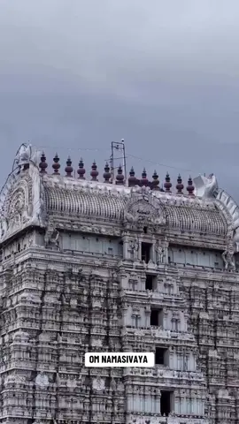 Om Namasivaya 🙏. Appane🙏🙇‍♂️🥹