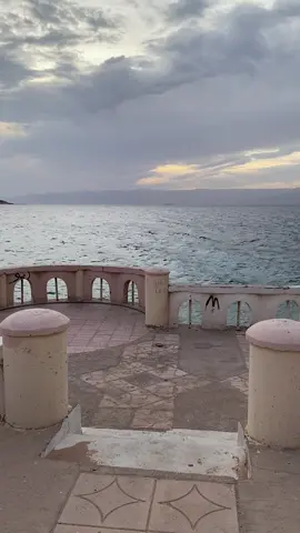 #fypシ゚ #fyp #اكسبلورexplore #حقل_تبوك #pppppppppppppppp 