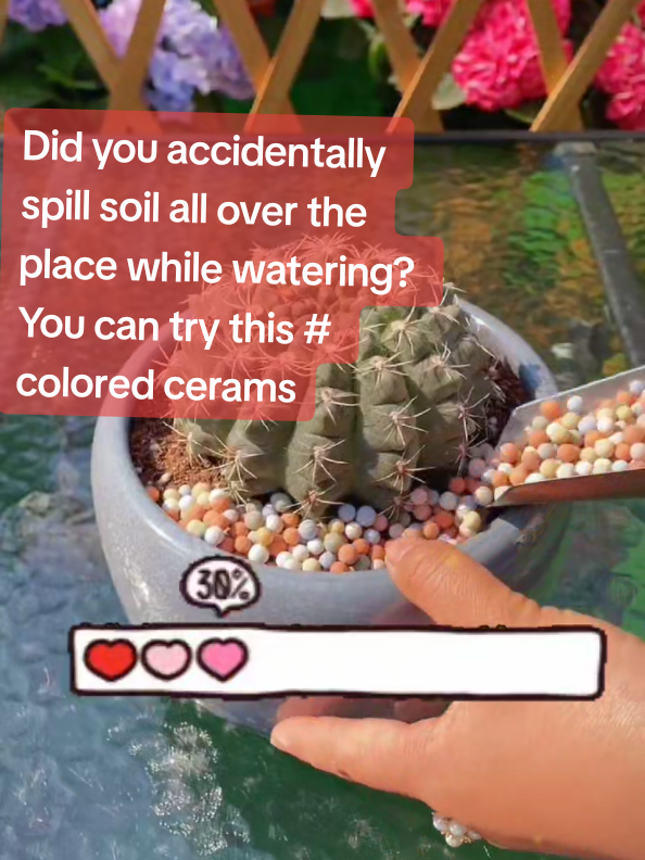 Did you accidentally spill soil all over the place while watering? You can try this # colored ceramsite ball. It is suitable for covering potted plants, hydroponic flower cultivation, fish tank landscaping, fixing plants, and is also breathable and water-permeable. # Potted plant product # Ceramsite soil care recommendation#consantanderconecto 