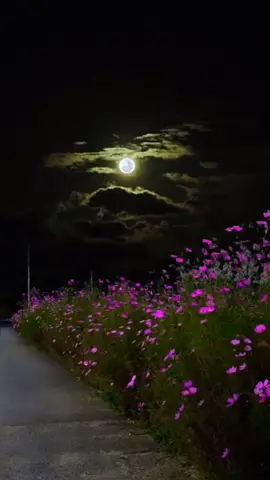 #اللهم سنه تعم عليها الخير ورزق وسعادة 