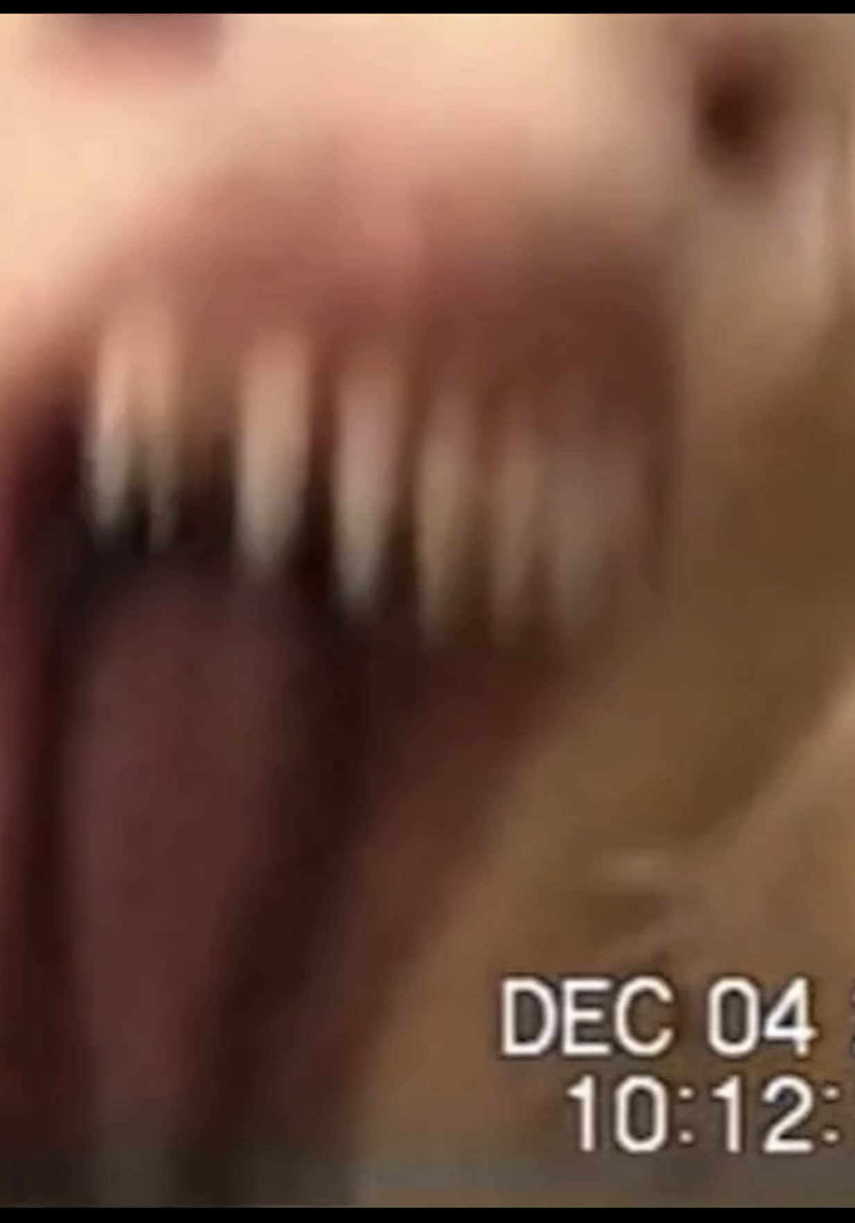 there’s something wrong with the dog… #aihorror #horror #sora #analoghorror #voidlundin