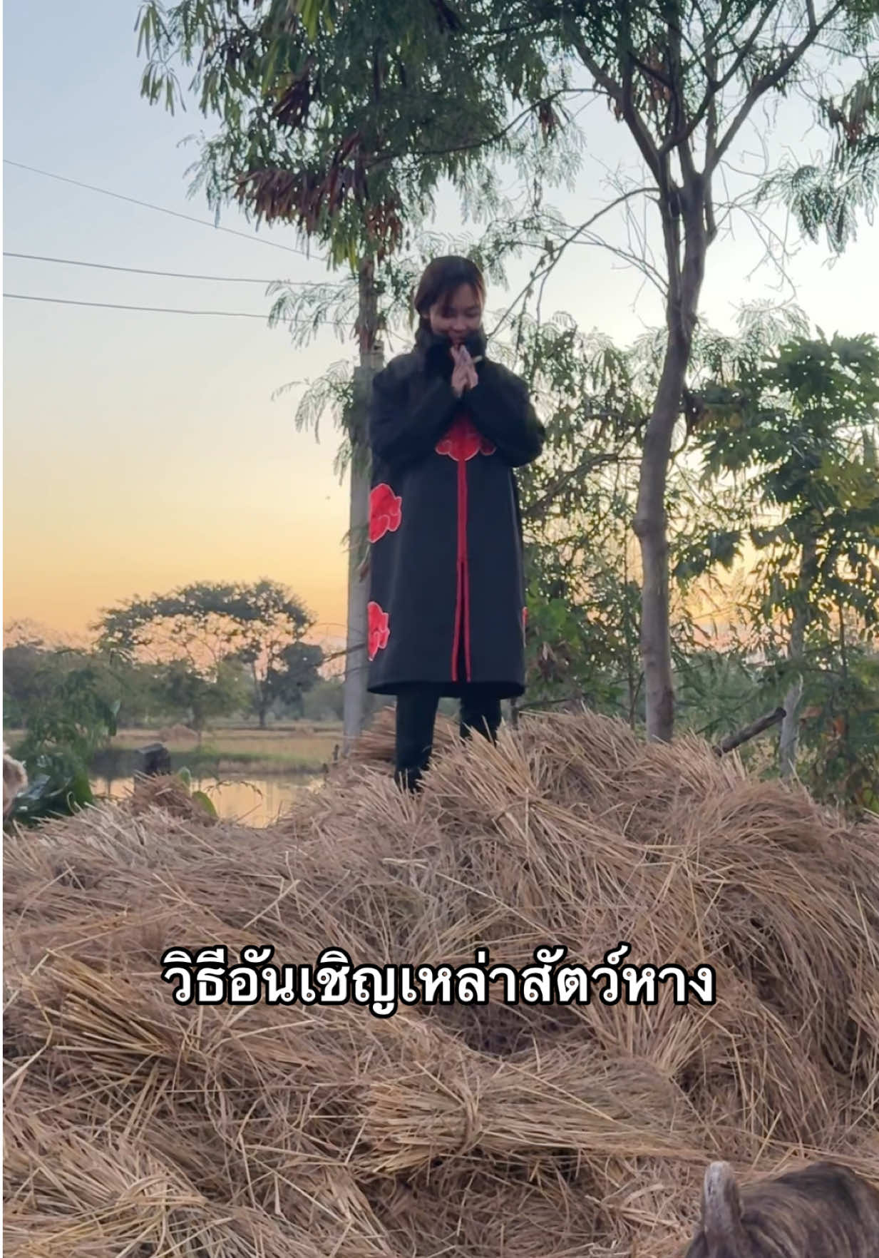 ไม่ว่าสัตว์หางตัวไหนก็ต้องยอมสยบ #แสงอุษา #นารุโตะ #มีม #fyp #เบียว 