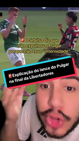 🚨O Palmeiras foi na sala do árbitro cobrar a expulsão #flamengo #palmeiras #libertadores #pulgar #tiktokesportes 