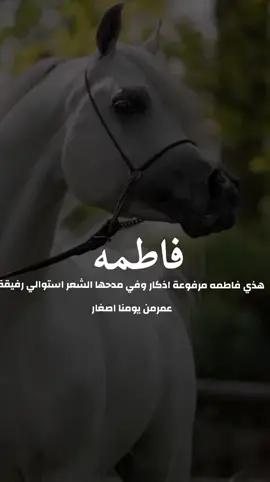 شيلة باسم فاطمه 2025شيله مدح فاطمه رفيقة عمر من يومنا اصغار #شيلات_مدح_شيلات_تباريك_شيلات_زواج #السعودية_الكويت_الإمارات_قطر #شيلات_روعه_خواطر_ذوق #pppppppppppppppppppppp 