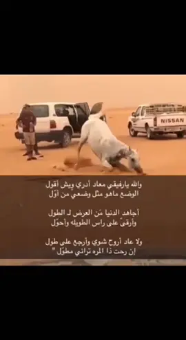 بري حالي #الشعب_الصيني_ماله_حل😂😂 #خيل_وخياله🐎 #لايك__explore___ 