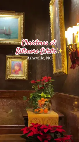 The Biltmore was a dream. 🎄✨ If you’re ever in Asheville, the #BiltmoreEstate tour is a must. #asheville #northcarolina #biltmore #christmas 